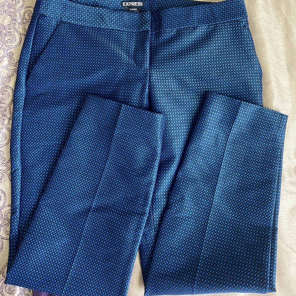 Express Columnist Pants
